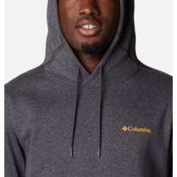 Columbia CSC Basic Logo II Hoodie 1681664008