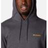 Columbia CSC Basic Logo II Hoodie 1681664008
