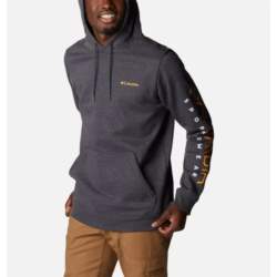 Columbia CSC Basic Logo II Hoodie 1681664008