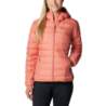 Columbia Lake 22 Down Hooded Jacket 1859682852