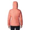 Columbia Lake 22 Down Hooded Jacket 1859682852