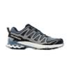 Salomon XA PRO 3D V9 GTX L47270600