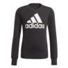 Adidas Older Girls Adidas Logo Sweatshirt GP0040