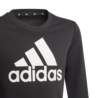 Adidas Older Girls Adidas Logo Sweatshirt GP0040