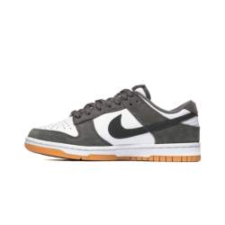 Nike Dunk Low FV0389-100