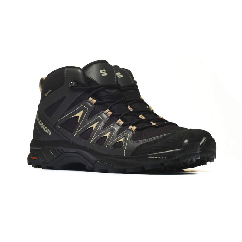 Salomon X BRAZE MID GTX L47174800 Salomon X BRAZE MID GTX L47174800