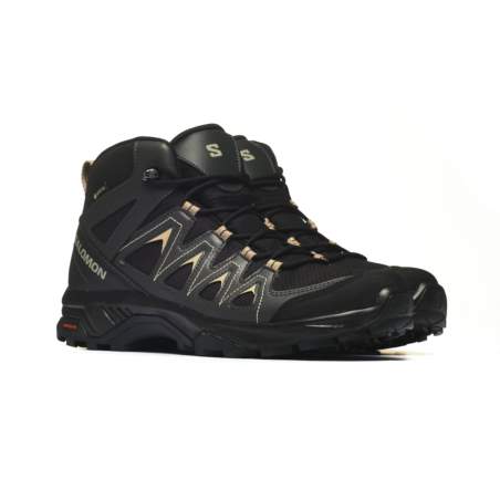 Salomon X BRAZE MID GTX L47174800