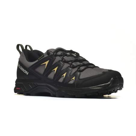 Salomon X BRAZE GTX L47180500