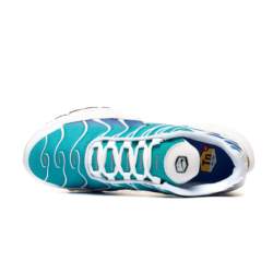 Nike Air Max Plus DM0032-102