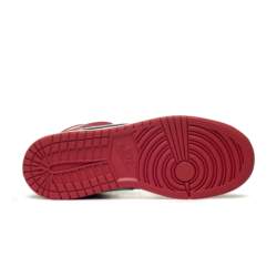 Nike AIR JORDAN 1 MID (GS) DQ8423-061