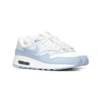 Nike AIR MAX 1 BG DZ3307-116