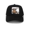 Goorin Bros The Guard Dog 101-1767-EBO