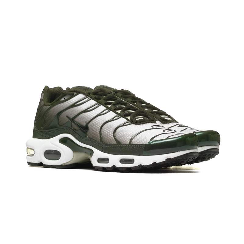 Nike AIR MAX PLUS DM0032-300 Nike AIR MAX PLUS DM0032-300