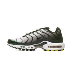 Nike AIR MAX PLUS DM0032-300