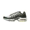 Nike AIR MAX PLUS DM0032-300