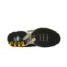 Nike AIR MAX PLUS DM0032-300