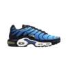Nike AIR MAX PLUS OG DX0755-001