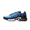 Nike AIR MAX PLUS OG DX0755-001