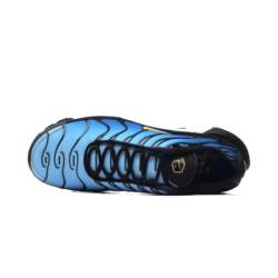 Nike AIR MAX PLUS OG DX0755-001