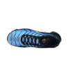 Nike AIR MAX PLUS OG DX0755-001