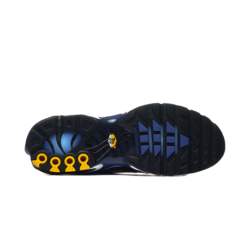Nike AIR MAX PLUS OG DX0755-001