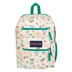 JanSport Big Student FIVE A DAYCREAM