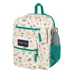 JanSport Big Student FIVE A DAYCREAM