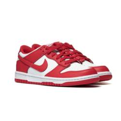 Nike DUNK LOW (GS) FB9109-119
