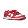 Nike DUNK LOW (GS) FB9109-119