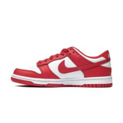 Nike DUNK LOW (GS) FB9109-119