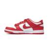 Nike DUNK LOW (GS) FB9109-119