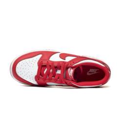 Nike DUNK LOW (GS) FB9109-119