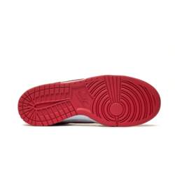 Nike DUNK LOW (GS) FB9109-119
