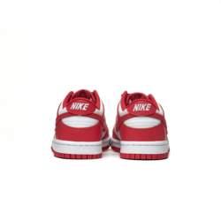 Nike DUNK LOW (GS) FB9109-119