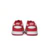 Nike DUNK LOW (GS) FB9109-119