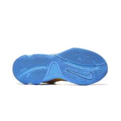 Nike GIANNIS IMMORTALITY 4 FQ3680-700