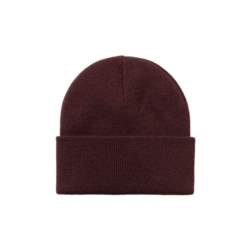 Carhartt WIP Chase Beanie I026222-1QY