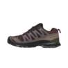 Salomon XA PRO 3D V9 GTX L47583500