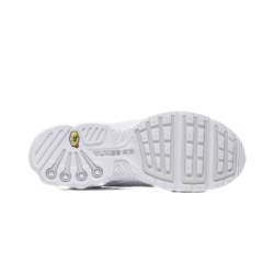 Nike AIR MAX PLUS III CW1417-100
