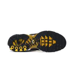 Nike AIR MAX PLUS DM0032-013