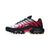 Nike AIR MAX PLUS DM0032-017