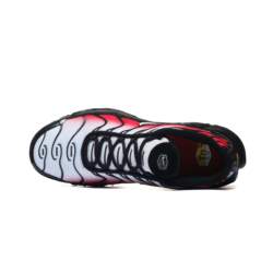 Nike AIR MAX PLUS DM0032-017