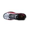 Nike AIR MAX PLUS DM0032-017