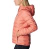 Columbia Lake 22 Down Hooded Jacket 1859682852