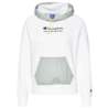 Champion Hooded Sweatshirt 113275-WW001